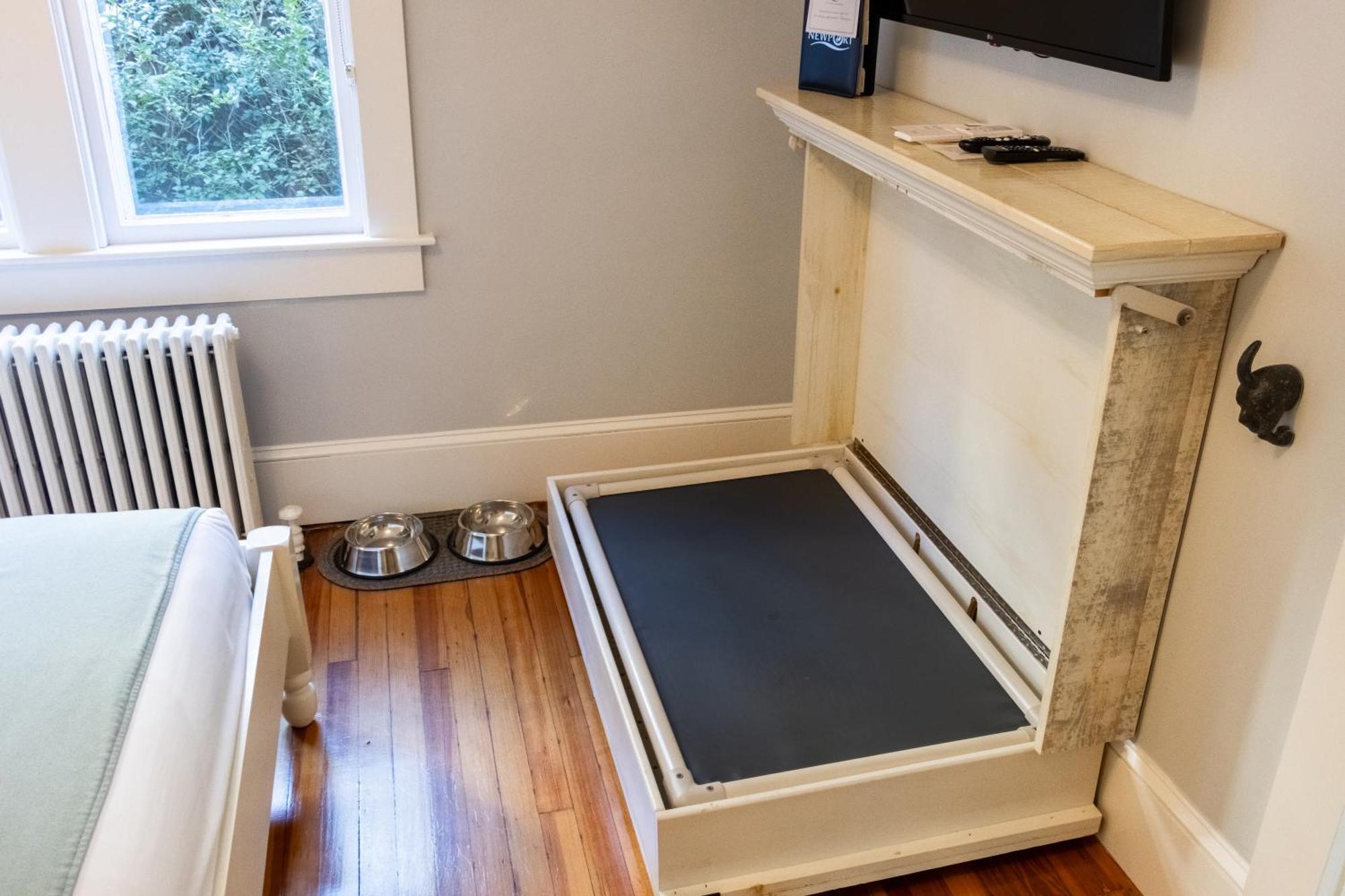 Paws on Pelham Newport Exterior foto
