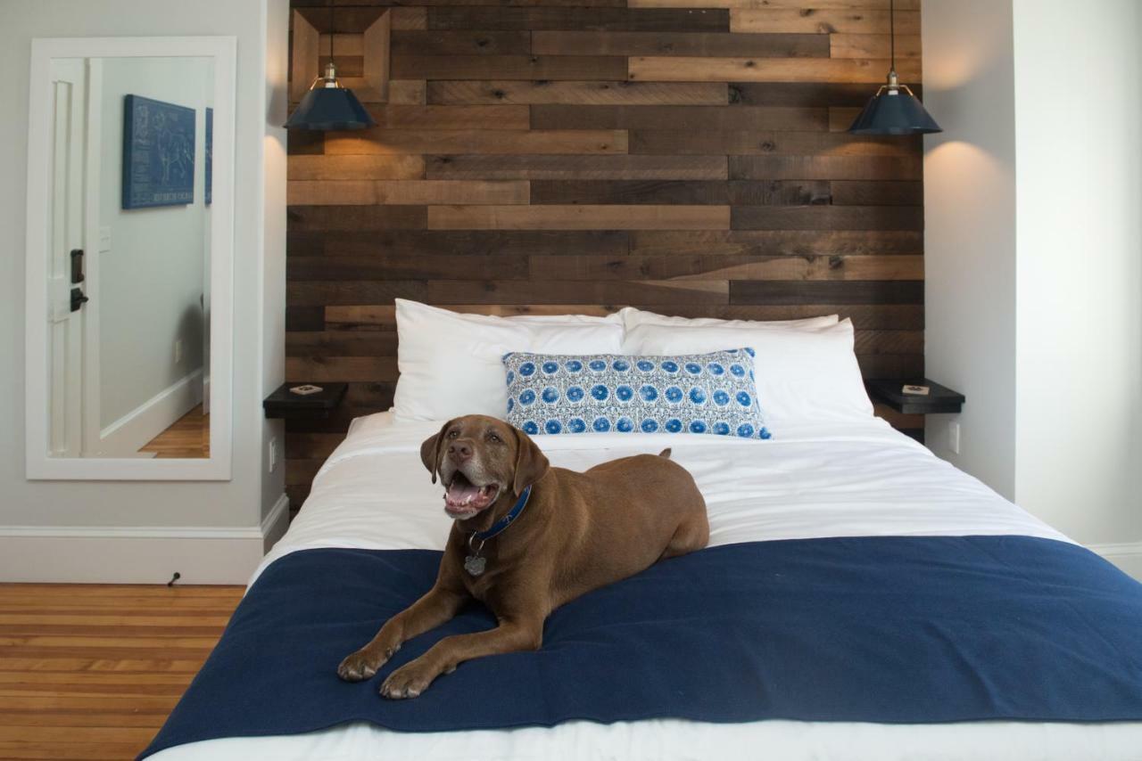 Paws on Pelham Newport Exterior foto