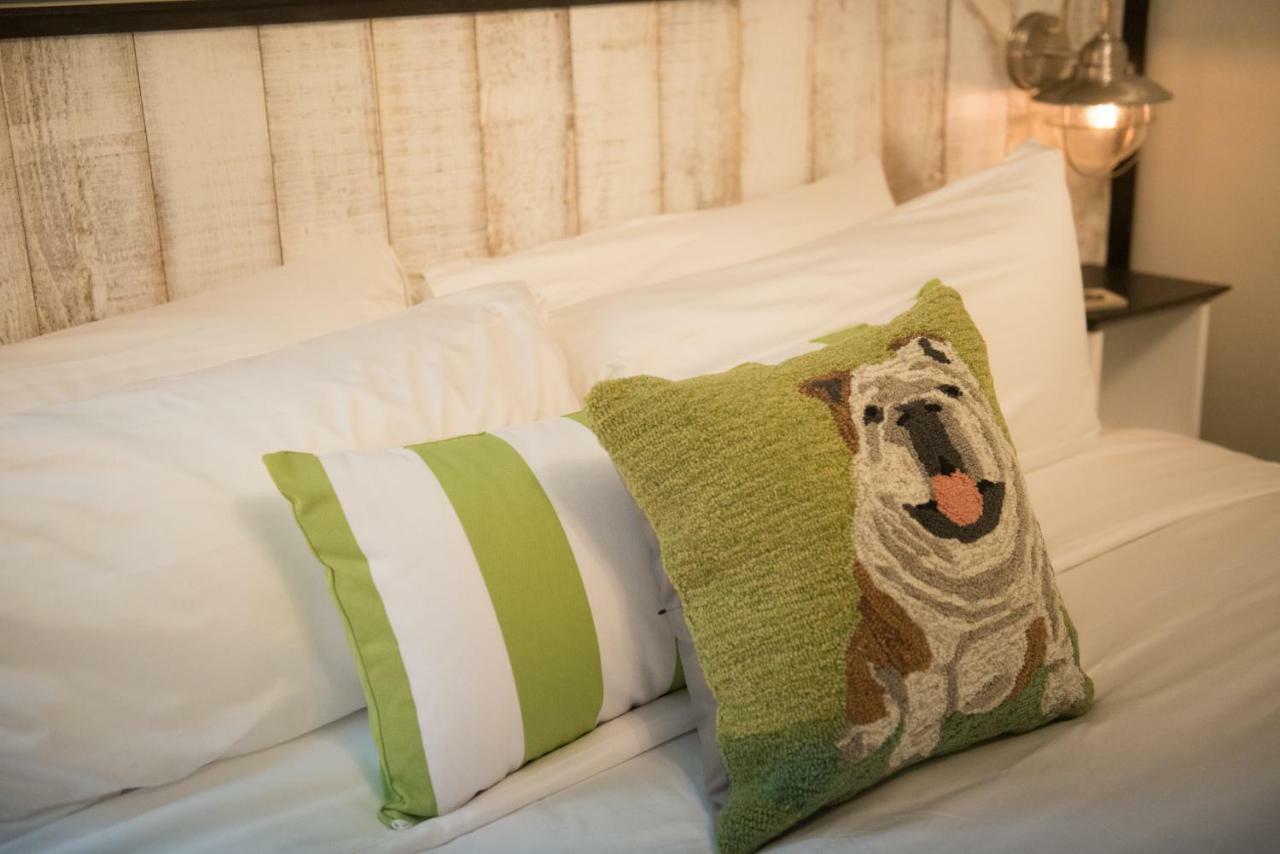 Paws on Pelham Newport Exterior foto