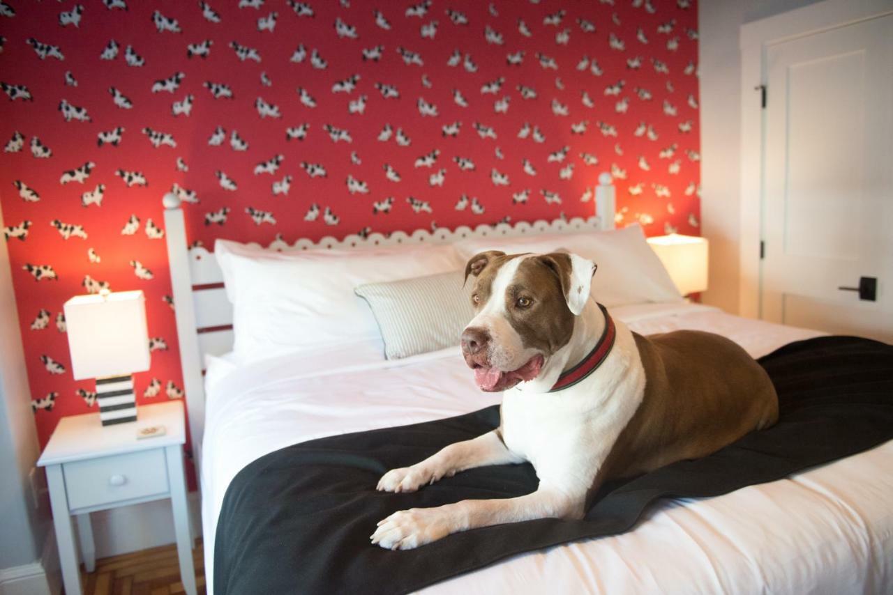 Paws on Pelham Newport Exterior foto